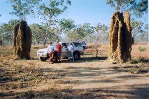 Termite Hills