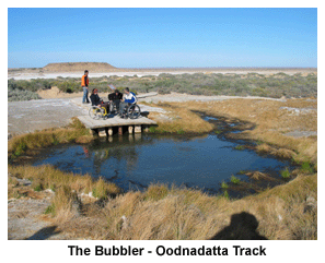 The Bubbler, Oodnadatta Track