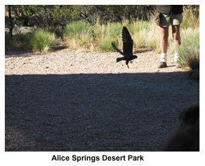 Alice Springs Desert Park