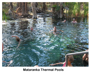 Mataranka Thermal Pools