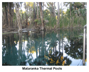 Mataranka Thermal Pools