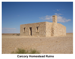 Carcory Homestead Ruins